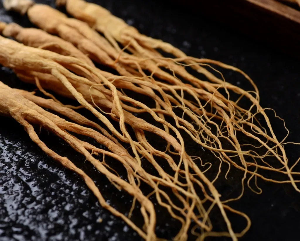 Dried ginseng root on dark surface